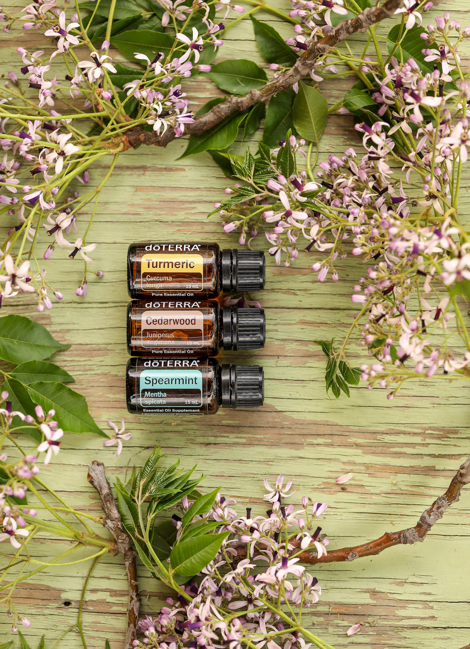 Mudgee, New South Wales / Australia - October 19 2020 - Illustrative editorial flat lay image of doterra essential oils surrounded by purple flowers on wooden surface, tumeric, cedarwood, spearmint.